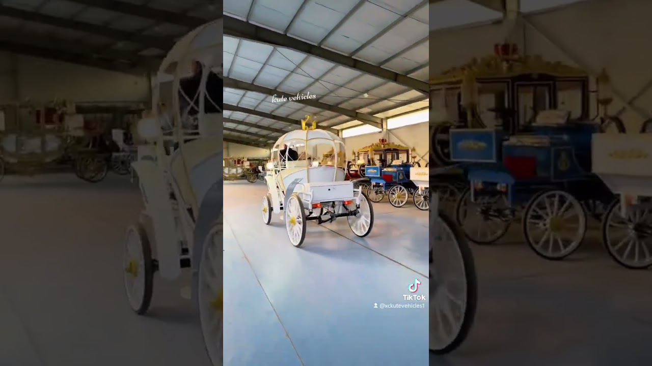 Modern Cinderella carriage ride 