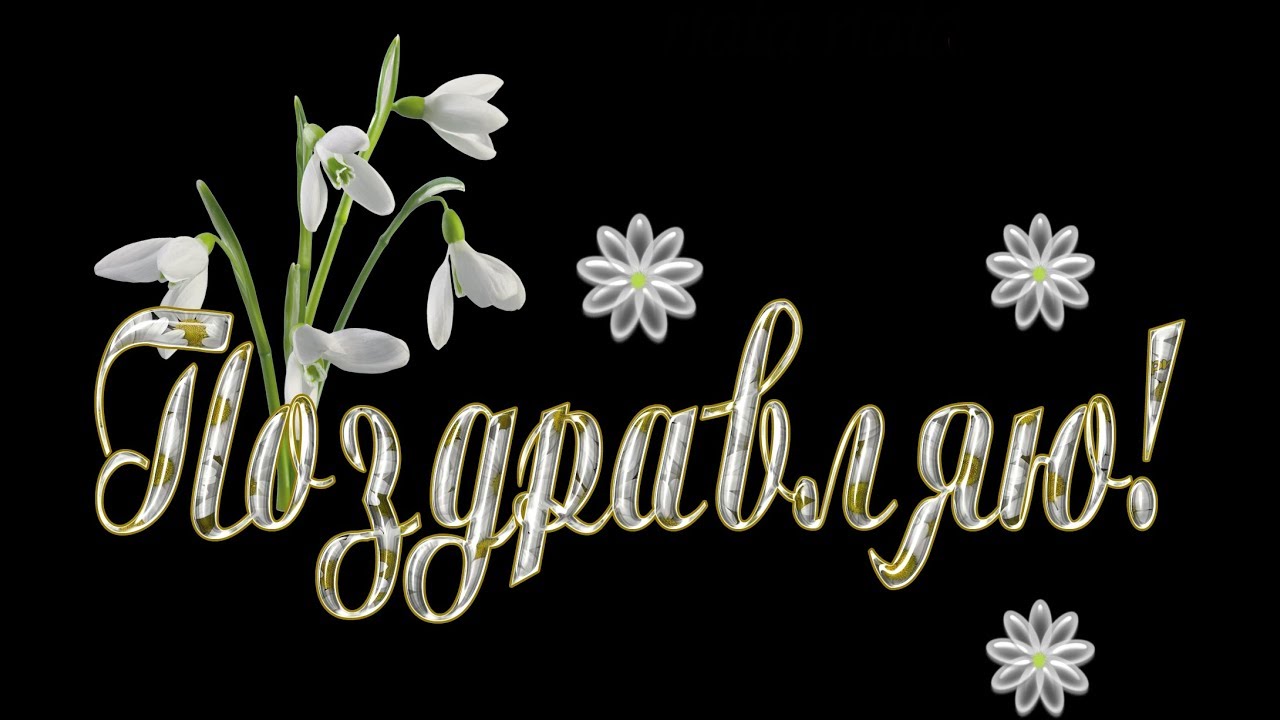 Поздравление Учителям Футажи
