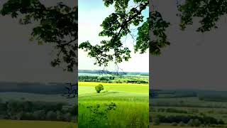 Duman Çöker Dağlarıma Söz Müzik Dursun Bedirhan F.T ALYA