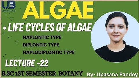 Life cycles of Algae| Algae | B.Sc first semester Botany | part 1