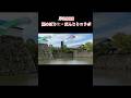 #岸和田城 #鯉のぼり #だんじり #コラボ #沼町 #ゴールデンウィーク