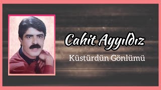 Cahit Ayyıldız - Küstürdün Gönlümü