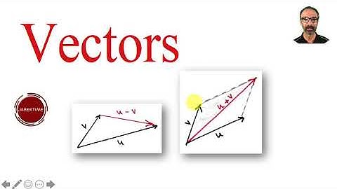 Vectors.