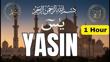 Surah Yasin Yaseen سورة يس  Relaxing heart touching voice 1Jam