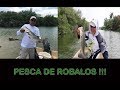 Pesca de Robalos Republica Dominica , buenos robalos !!!! snook fishing!!!