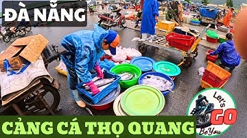Cận Cảnh Cảng Cá Thọ Quang Đà Nẵng lúc 1h Sáng - Quá Tấp Nập và Hối Hả