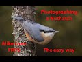 Photographing a Nuthatch the easy way