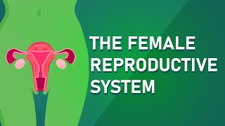 Understanding The Female Reproductive System screenshot 1