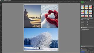 Create a Photo Collage with PhotoPad Photo Editor screenshot 1
