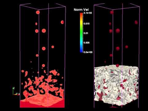 FlowKit Ltd: Multi-phase flow through porous media: Buoyant Rise in Crystals