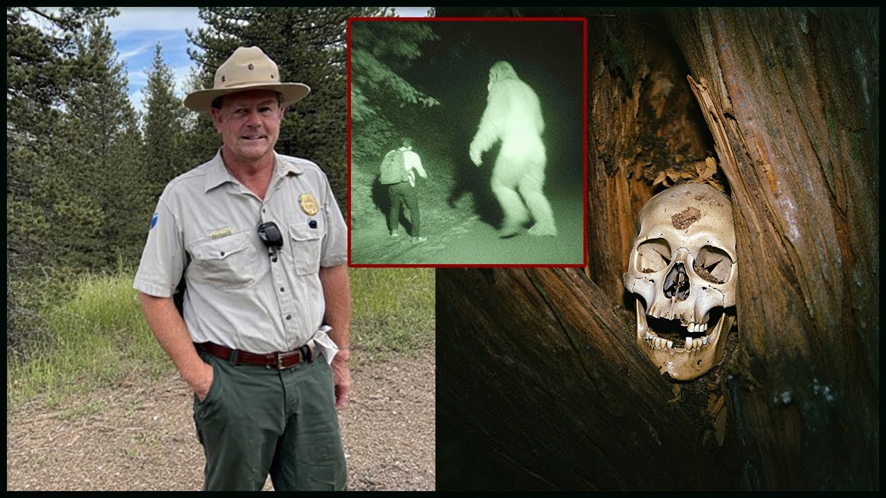 Рейнджер Пропал в Колорадо в 1993 — в 2023 его Череп нашли в дупле Старого Дуба