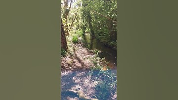 Upstream and downstream in Quevan.