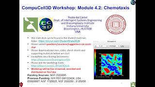 CompuCell3D WS 2026: 4.2: Chemotaxis [Pedro dal Castel] July 30, 2026