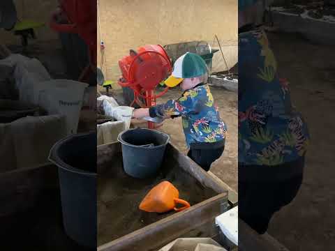 Video: Vermikompostointi altaiden alla – matokompostointiastiat sisäkäyttöön
