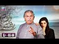 Watch Dard Ka Rishta Episode 65 & 66 - ARY Zindagi Drama Online In HD