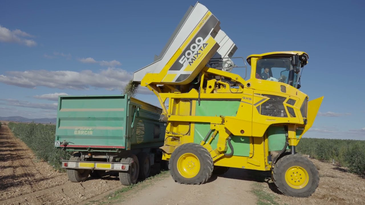 GREGOIRE GX9.6 MIXTA