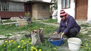 ПЕРЕСЕЛЕНЦІ купили хату. Як живуть та чим займаються #сільськежиття #українською