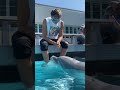 Capture de la vidéo Talking To A Dolphin 🐬 #Shorts