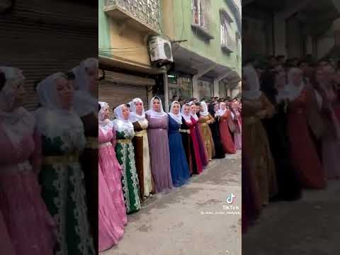 دبكة ورية دك ر بة جو دك نا   هف ب دبكة اليوم دبكة نشلة 