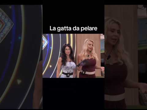 Video Il meglio di VALERIA MARINI e CARMEN DI PIETRO al gf vip