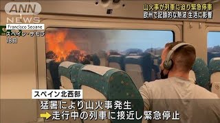 欧州で記録的な熱波　発生した山火事で列車緊急停車(2022年7月19日)