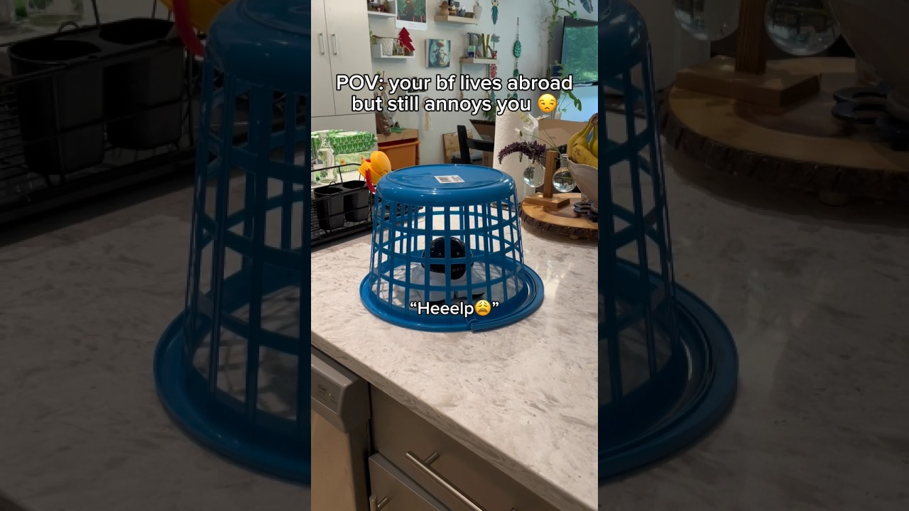 My southern bf is a tiny robot 😂💕 