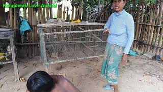 #KompheakLoveAnimals - បន្តចុះពិនិត្យ និងណែនាំកសិករអំពីការចិញ្ចឹមាន់ទា - Raising Chickens