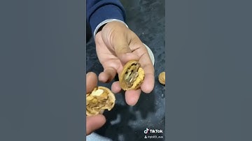 How to open Walnut easily.