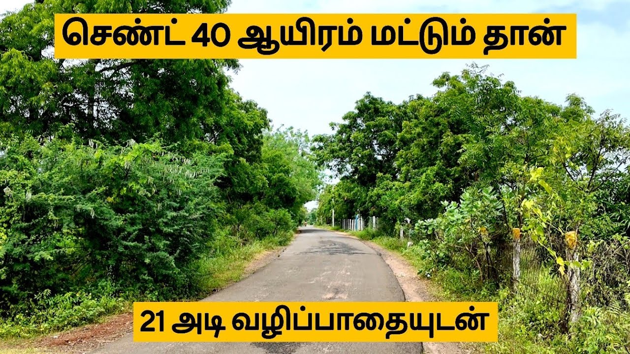 செண்ட் 40 ஆயிரம் மட்டும் தான்✅ 21அடி வழிப்பாதை