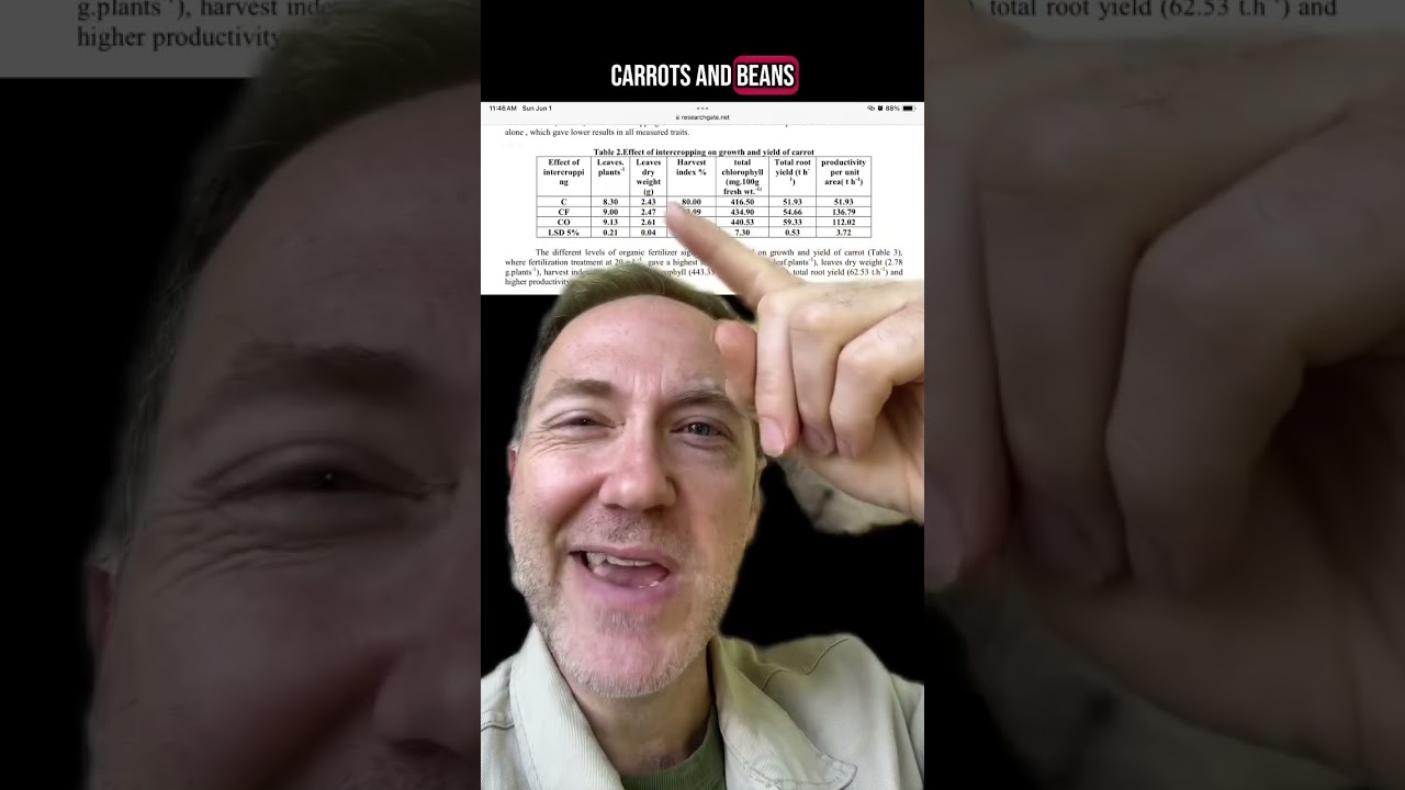 Never Plant These Together!?!?! Let’s Demystify Companion Planting