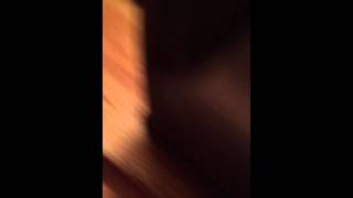 Celebrity Shit Net Worth