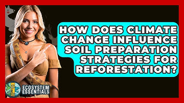 How Does Climate Change Influence Soil Preparation Strategies For Reforestation?
