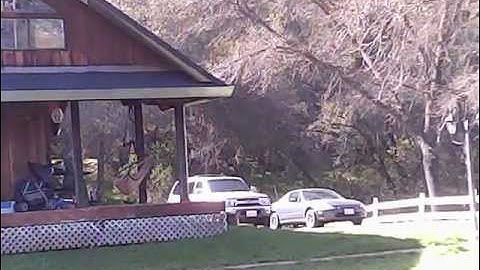 Walkera V120D02s in the back yard