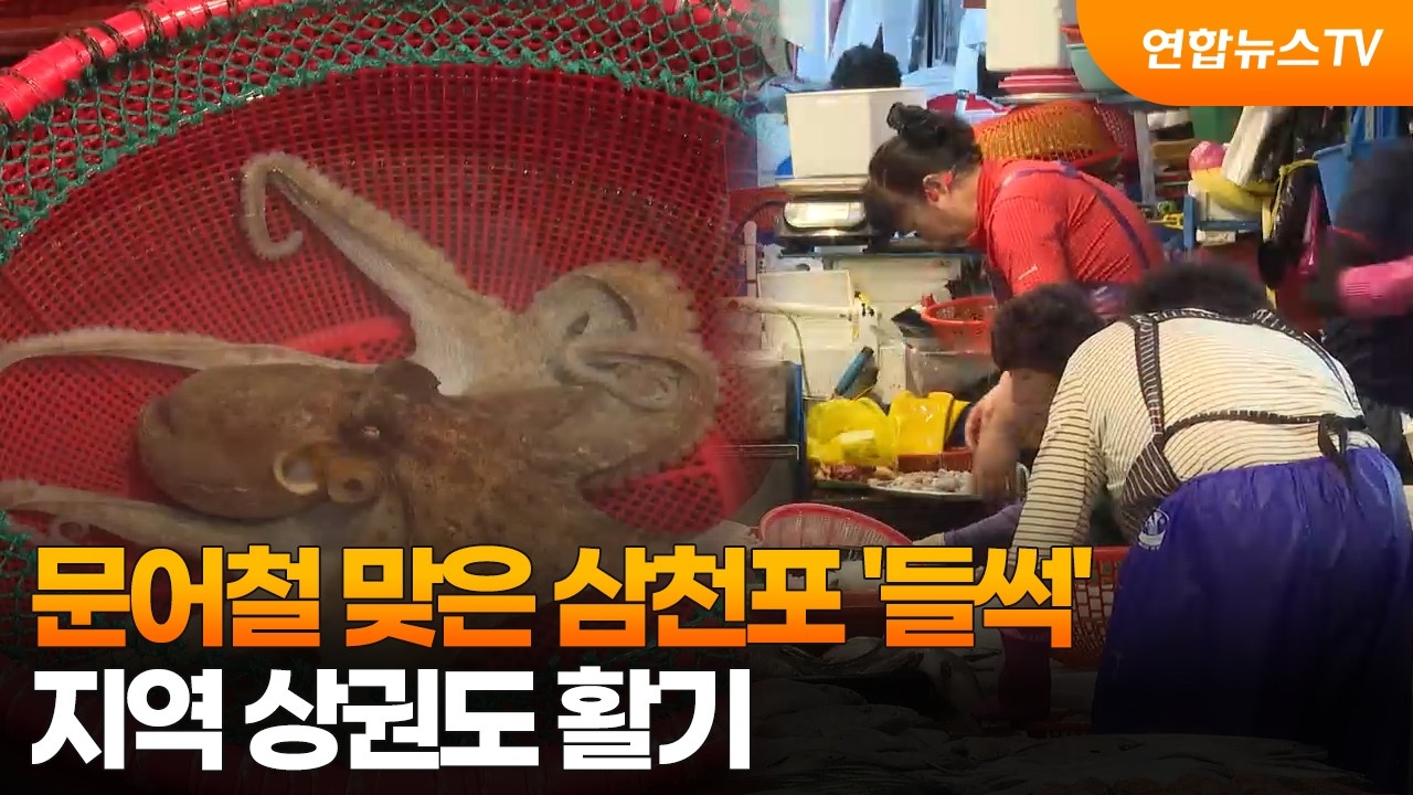 문어철 맞은 삼천포 '들썩'…지역 상권도 활기 / 연합뉴스TV (YonhapnewsTV)