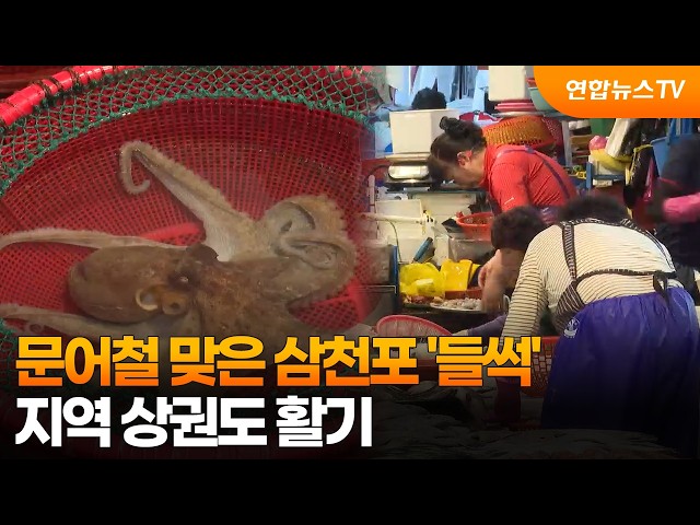 문어철 맞은 삼천포 '들썩'…지역 상권도 활기 / 연합뉴스TV (YonhapnewsTV)