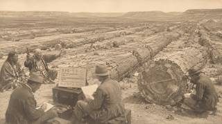 What the Hopi Said About the Stone Trees of the Painted Desert — Documented in 1894