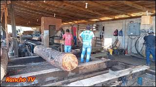 Aserradero de Madera en Cintalapa Chiapas Mexico