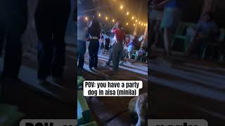 #partydog #steveslavachicken