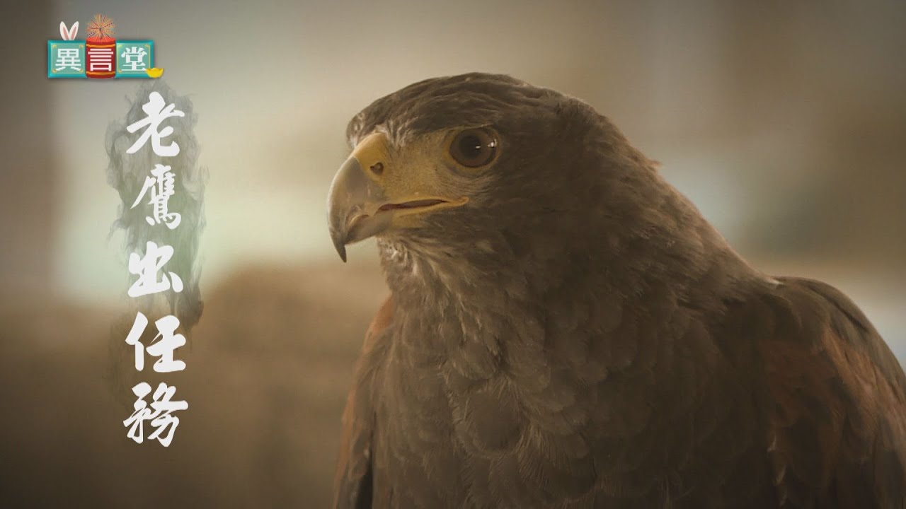 【民視異言堂】老鷹出任務(上)