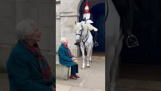 The Deep Respect of a Royal Guard Horse in a Special Moment ❤️🐎 #GuardHorse #Heartwarming