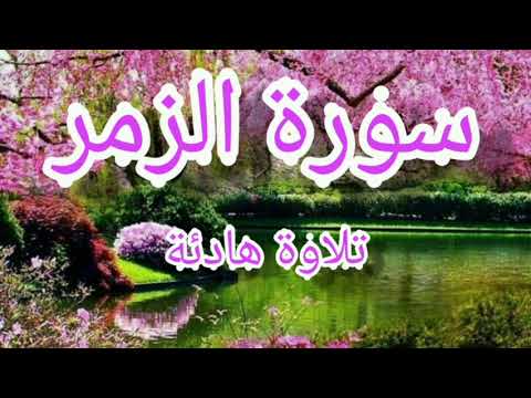 سورة الزمر تلاوة هادئة تريح الأعصاب روعة بإذن الله تعالى من قناة نور الإسلام
