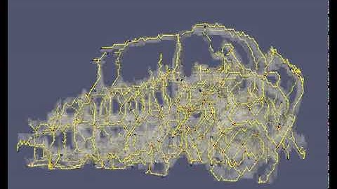 3D Reconstruction of Zebrafish brain vasculature
