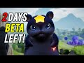 Aniimo Beta – We Need Your Feedback! Final Day Suggestions for the Devs - COMMENT BELOW!