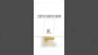 Why Do Cats Do This?