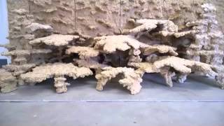 Riffsystem Riffkeramik Probeaufbau Für Kunden, 200X70X70Cm