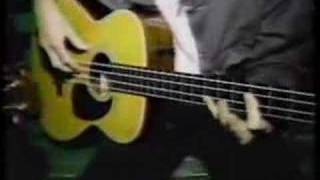 Robyn Hitchcock and the Egyptians "Birds in Perspex acoustic chords