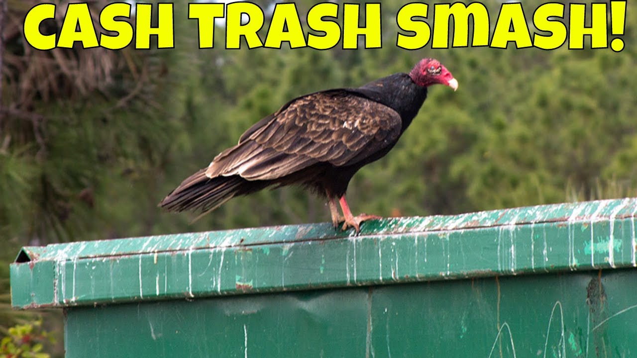 REAL TIME Dumpster Diving Walmart Route (Smash Trash Cash)