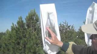 NC State Cooperative Tree Improvement Program--Bagging Loblolly Pine Net Worth