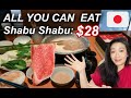 ALL YOU CAN EAT SHABU SHABU for $28! | How I Spent Half a Day in TOKYO