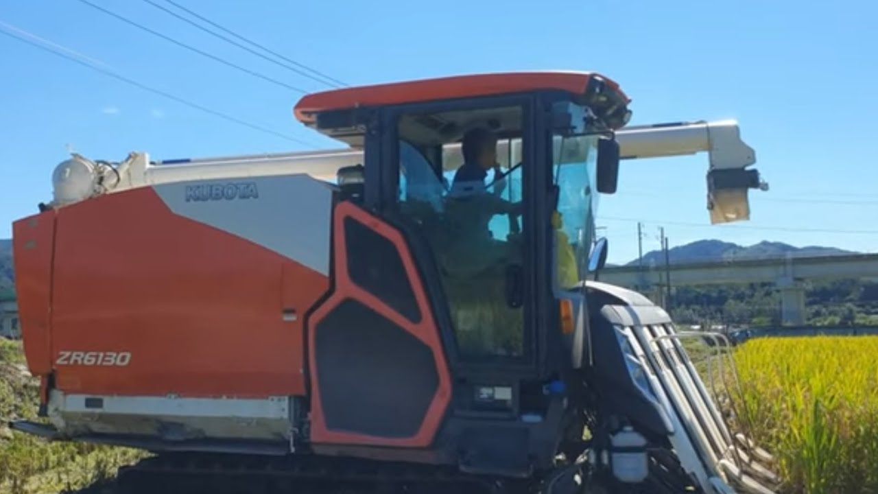 벼 타작부터 건조까지 구보다 콤바인의 위력